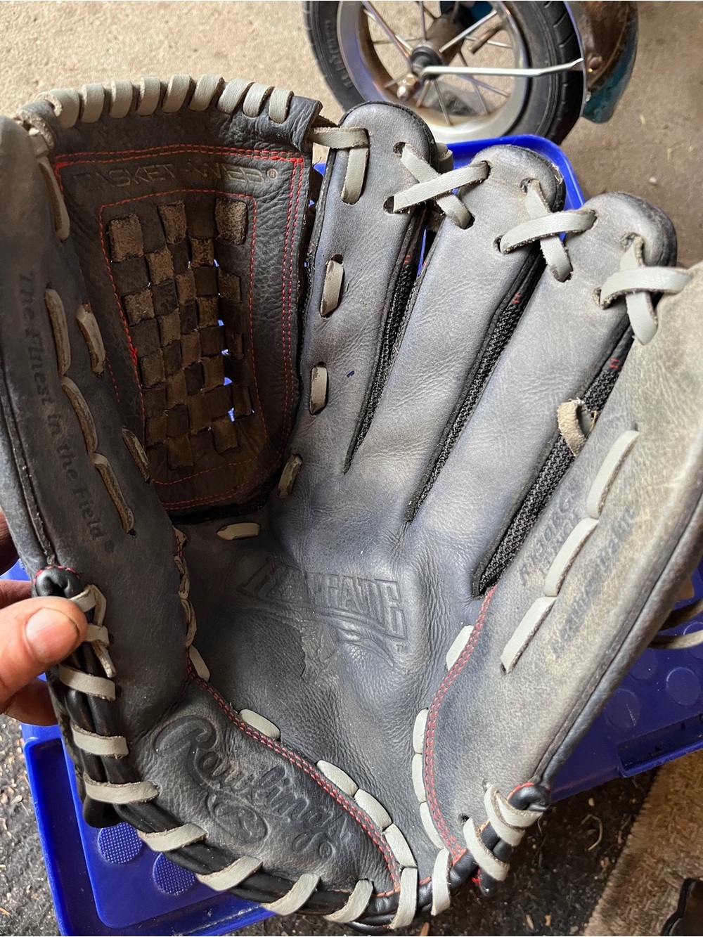 Rawlings Renegade 13" Baseball/Softball Glove R130BGS Basket Web… Rawlings Reneg